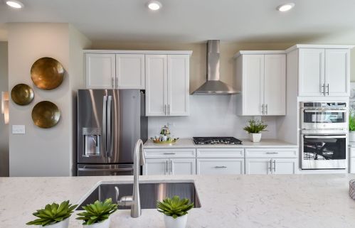 2939 Showplace Dr, Naperville IL  60564-5055 exterior