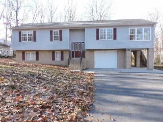 94 Mikes Knob Ln, Waynesboro, VA 22980-8942