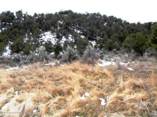 3859 Crystal Bridge Dr, El Jebel, CO 81623-3119