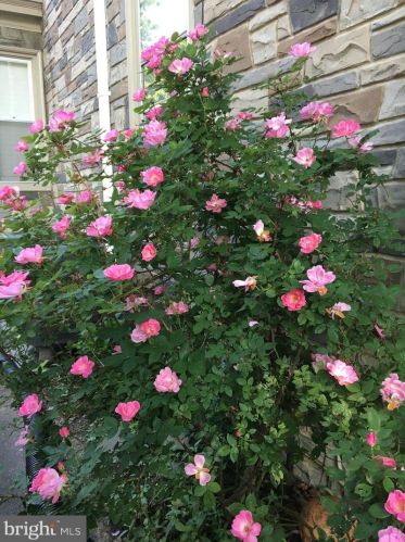 638 State St, Lancaster PA  17603-2641 exterior