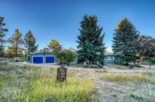 588 Coronado Dr, Deckers CO 80135-8316 exterior