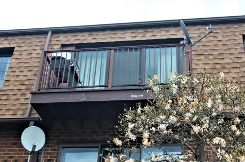 408 Kensington Rd, Mount Prospect, IL 60056-1229