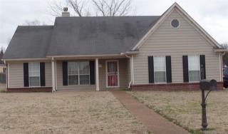 20 Village Cv, Somerville, TN 38060-4858
