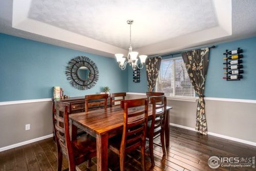 513 Idalia Ct, Fort Collins CO  80525-7011 exterior