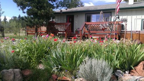34785 Mohawk Trl, Pine, CO 80470-9555