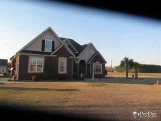 827 Olanta Hwy, Effingham, SC 29541-6547