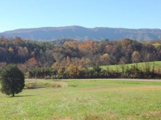 1171 Ellejoy Rd, Seymour, TN 37865-3825
