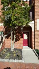 10 Andrew Pl, Baltimore MD  21201-2402 exterior