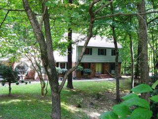 131 Rolfe Rd, Williamsburg, VA
