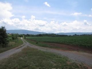 247 River Crest Ln, Benton, TN 37307-4866