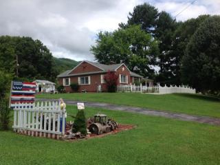 11169 Mendota Rd, Abingdon, VA 24210-4053