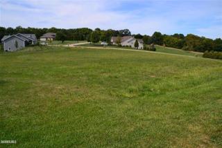 36 Cliffside Ct, Scioto Mills, IL 61032-8798