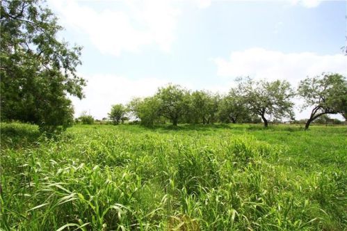 3 Century Dr, Corpus Christi, TX 78368