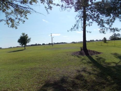4888 Valdosta Hwy, Barney, GA 31625-4802