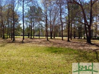 336 Westbrook Ln, Savannah, GA 31322-9605