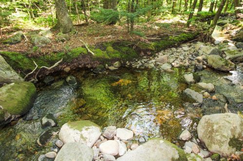 228 Pond Rd, Perkins Township, ME 04294-5509