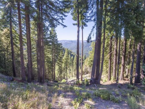 145 Magic Mountain Rd, Cazadero, CA 95421-9676