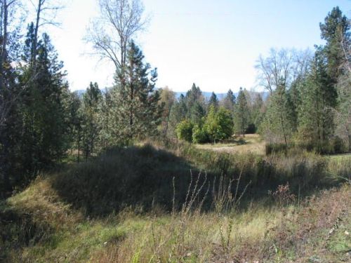40372 Riverview Dr, Enaville, ID 83839