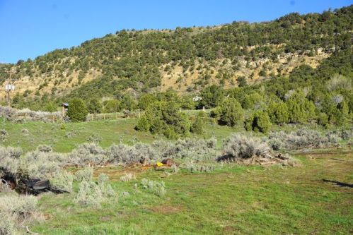 975 6th St, Meeker, CO 81641-3038