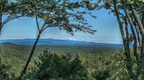 800 Chief Whitetails Rd, Ellijay, GA 30540-1064