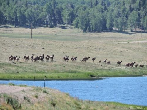 2629 Waldron Ln, Sangre De Cristo Ranches, CO 81133-9715