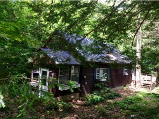 51 Ellen Brook Rd, Hillsboro, NH 03244-4415