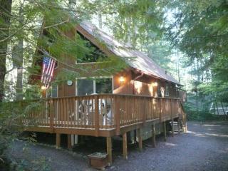 21 Mount Church Dr, Cushman Dam, WA 98548-9558