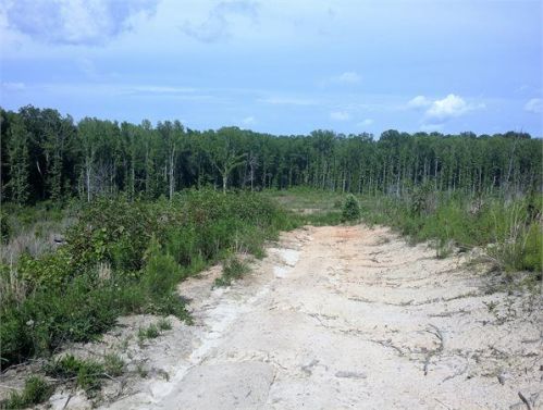 519 Bill Pearson Rd, Woodruff, SC 29388-9423