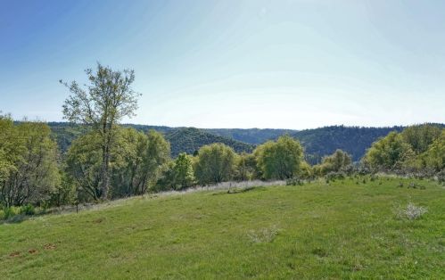 3065 Gravel Ct, Swansboro Country, CA 95667-8315