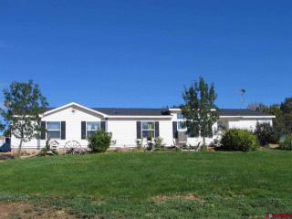 13569 3100 Rd, Hotchkiss CO  81419-6104 exterior