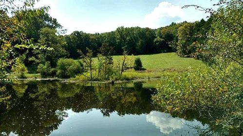 3996 Porterfield Rd, Readyville, TN 37149-5110