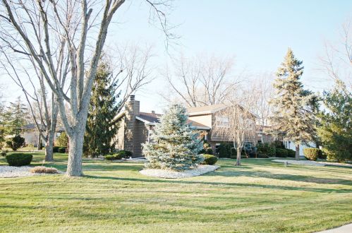 1010 Park Ave, Palatine, IL 60067-1849