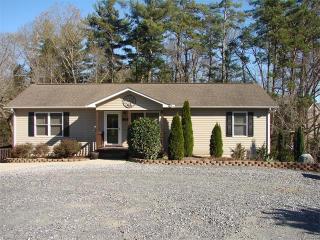 21 Shomee Ln, Alexander, NC 28701-9201
