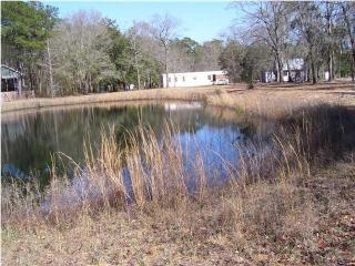 5770 Sauldam Rd, Ravenel, SC 29470-5211