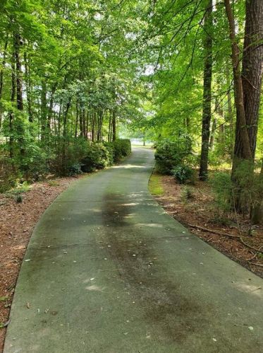 1307 Barrington Manor Dr, Loganville, GA 30052-2960