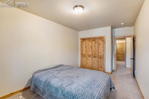 130 Elk Grove Ln, Woodland Park CO 80863-9158 exterior