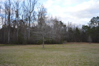 109 Bent Tree Dr, Sylvester, GA 31791-7322