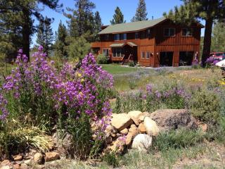 10314 Cromley Sq, Truckee, CA 96161-1330
