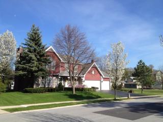 25 Maple St, Frankfort, IL 60423-2011