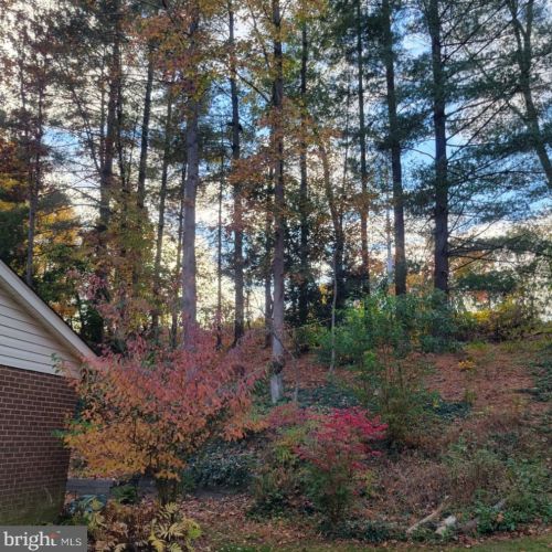 7099 Game Lord Dr, Springfield VA  22153-1312 exterior