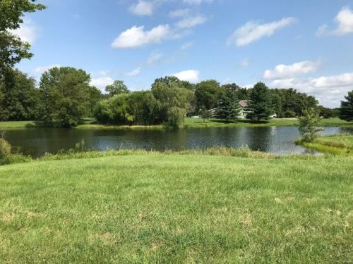 4734 Timber View Dr, Foster Pond, IL 62298-4654