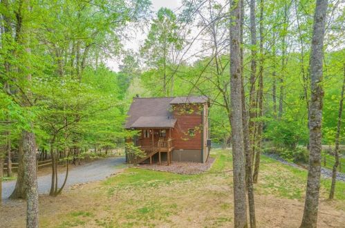 823 Centergate Dr, Ellijay, GA 30540-9643