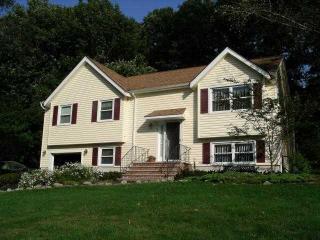 31 Castlewood Trl, Sparta, NJ 07871-3701