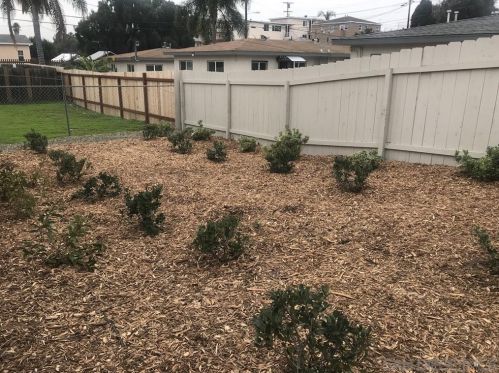 3626 Newton Ave, San Diego, CA 92113-3120