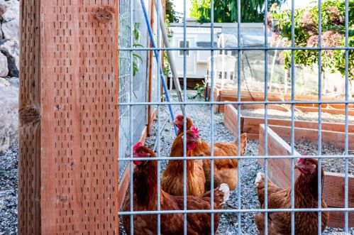 406 Rdg Ln, Alpine UT exterior