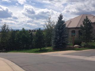 1168 Buffalo Ridge Ct, Castle Rock, CO 80108-8199