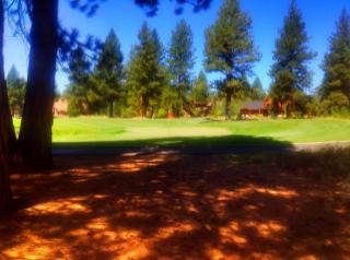 13118 Lookout Loop, Truckee, CA 96161-4530