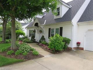 314 Chesapeake Cv, Concord Township, OH 44077-1370