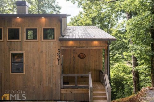 331 Licklog Rd, Ellijay, GA 30536-8948