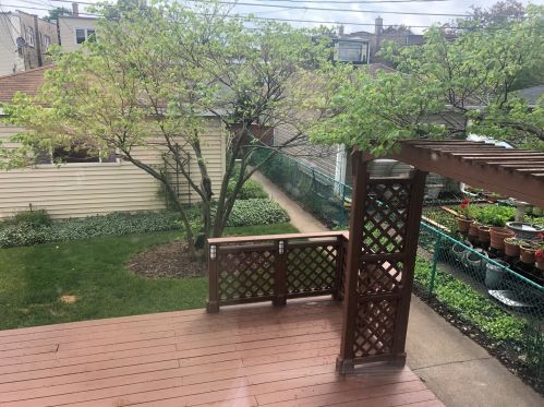 2229 Ave, Forest View IL  60402-2433 exterior